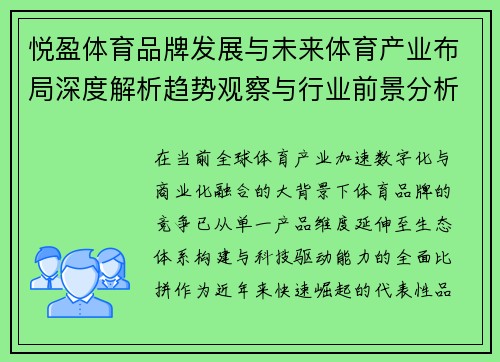 悦盈体育品牌发展与未来体育产业布局深度解析趋势观察与行业前景分析